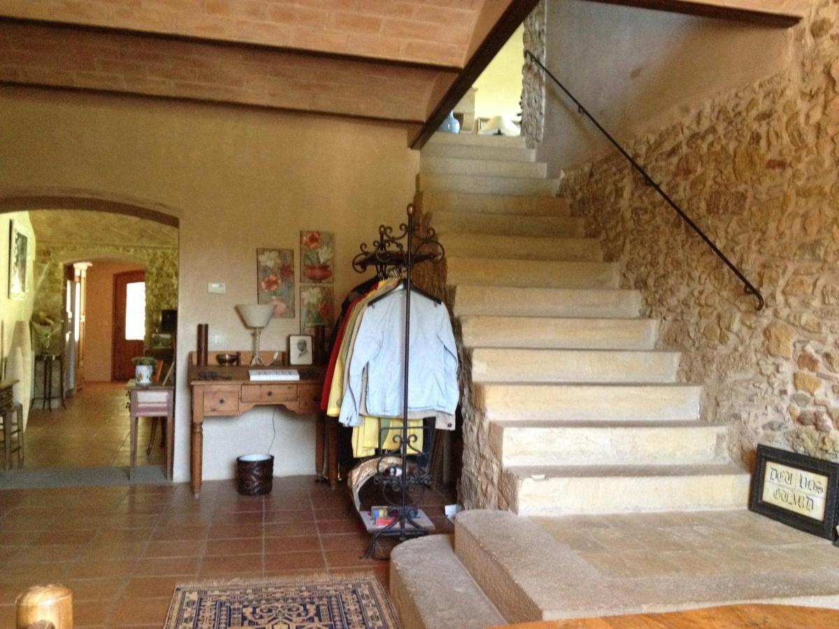 Mas Petit, Turisme Rural Pensionat La Bisbal d'Emporda Exteriör bild